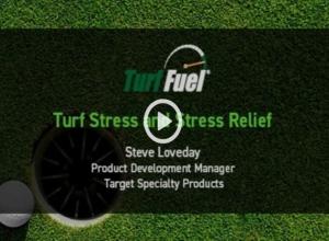 Turf Fuel MasterClass IV: Turf Stress and Stress Resistance